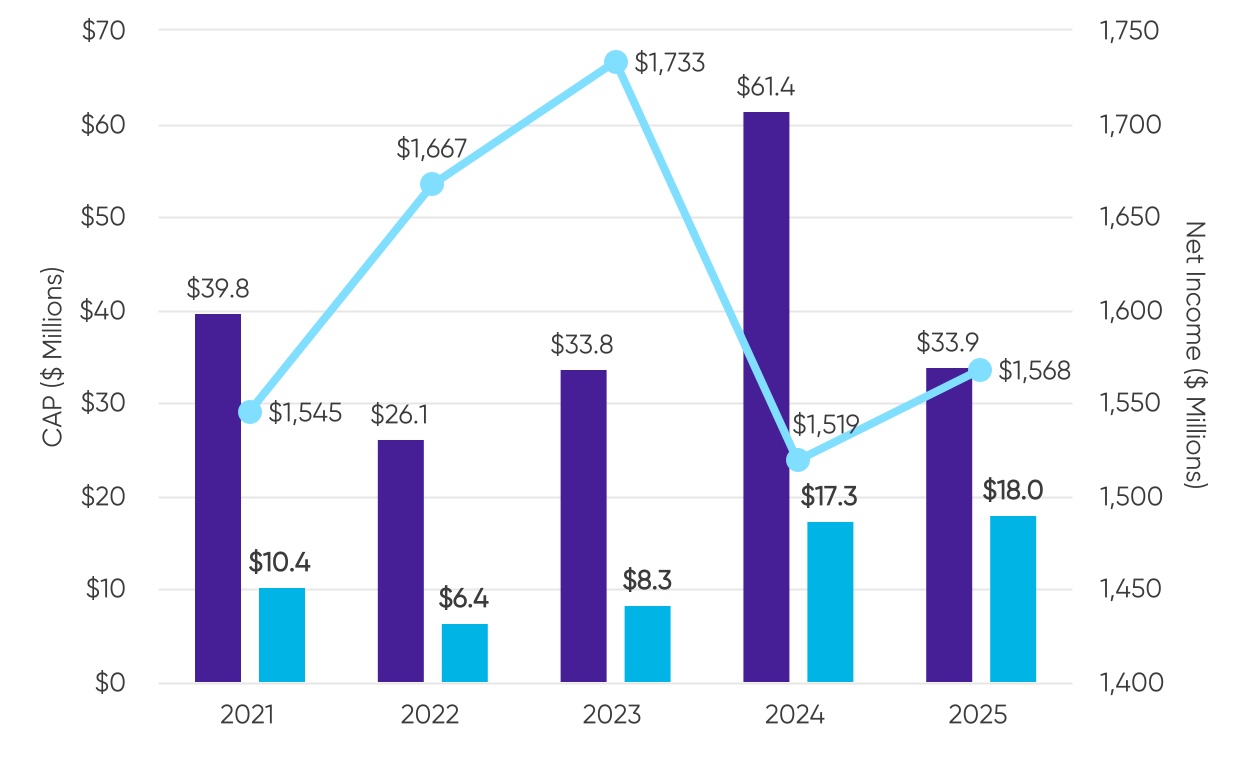 Portrait of Adjusted Operating Income